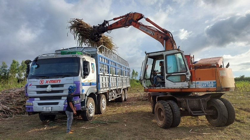 Công ty cổ phần Nông nghiệp AgriS Gia Lai: Đảm bảo hài hòa lợi ích giữa Doanh nghiệp và nông dân