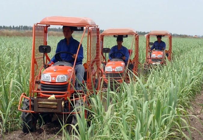 TTC AgriS đồng hành người trồng mía Tây Ninh